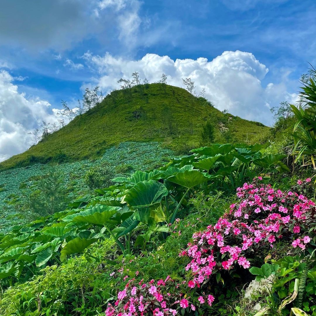 Osmeña Peak